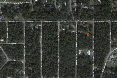 Land in Hernando, Florida № 2159590 - photo 1