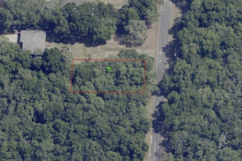Terreno en venta en Hernando, Florida № 2159590 - foto 9