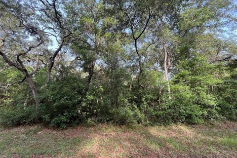Terreno en venta en Hernando, Florida № 2159590 - foto 6