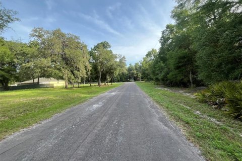 Terreno en venta en Hernando, Florida № 2159590 - foto 4