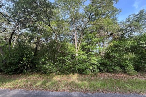 Terreno en Hernando, Florida № 2159590