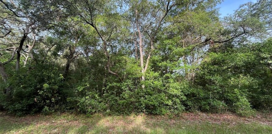 Terreno en Hernando, Florida № 2159590