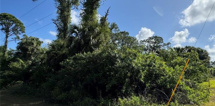 Land in Lehigh Acres, Florida № 2232715