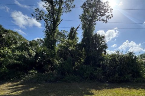 Land in Lehigh Acres, Florida № 2232715 - photo 2