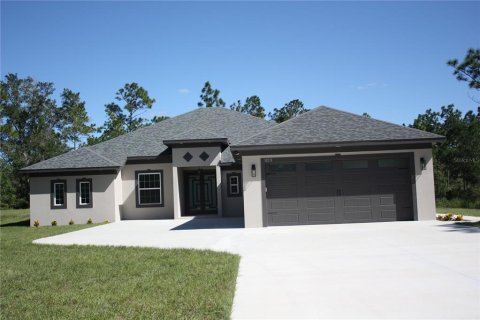 Villa ou maison à Weeki Wachee, Floride 4 chambres, 266.63 m2 № 2430709