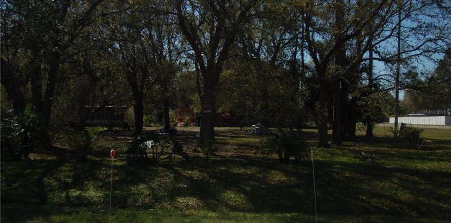 Terrain à Kissimmee, Floride № 1513359