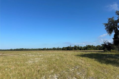 Terrain à vendre à Citra, Floride № 1822732 - photo 4