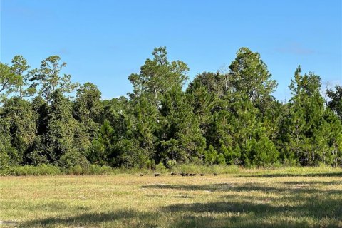 Terrain à vendre à Citra, Floride № 1822732 - photo 5