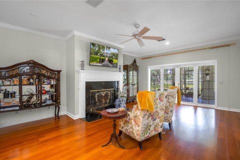 Villa ou maison à vendre à Inverness, Floride: 7 chambres, 521.09 m2 № 1901406 - photo 11