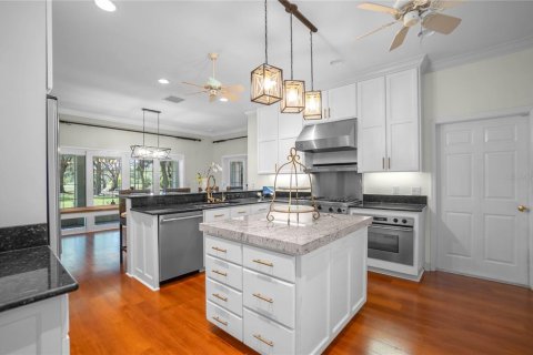 Villa ou maison à vendre à Inverness, Floride: 7 chambres, 521.09 m2 № 1901406 - photo 18