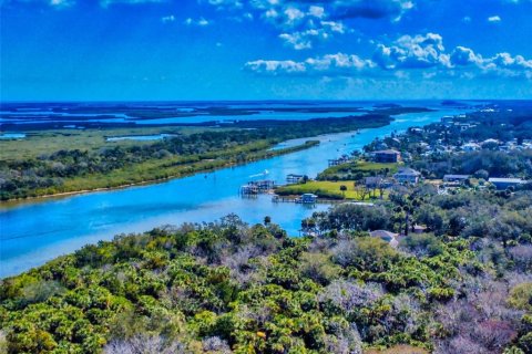 Land in Edgewater, Florida № 1525429 - photo 14