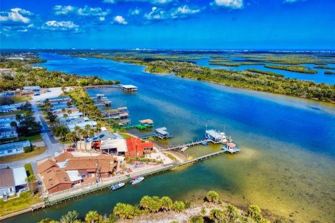 Land in Edgewater, Florida № 1525429 - photo 12