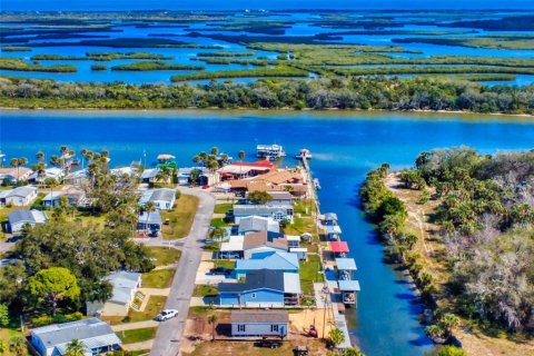 Land in Edgewater, Florida № 1525429 - photo 8