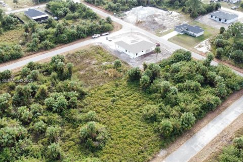 Land in Lehigh Acres, Florida № 2158111 - photo 2