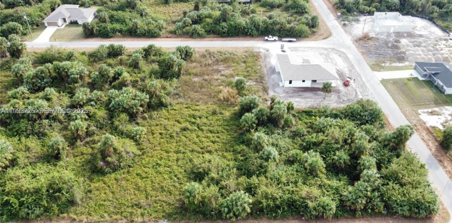 Land in Lehigh Acres, Florida № 2158111