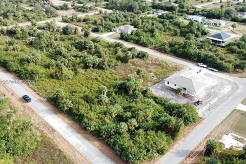 Land in Lehigh Acres, Florida № 2158111 - photo 6