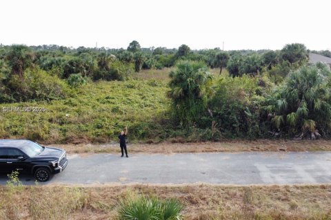 Land in Lehigh Acres, Florida № 2158111 - photo 8