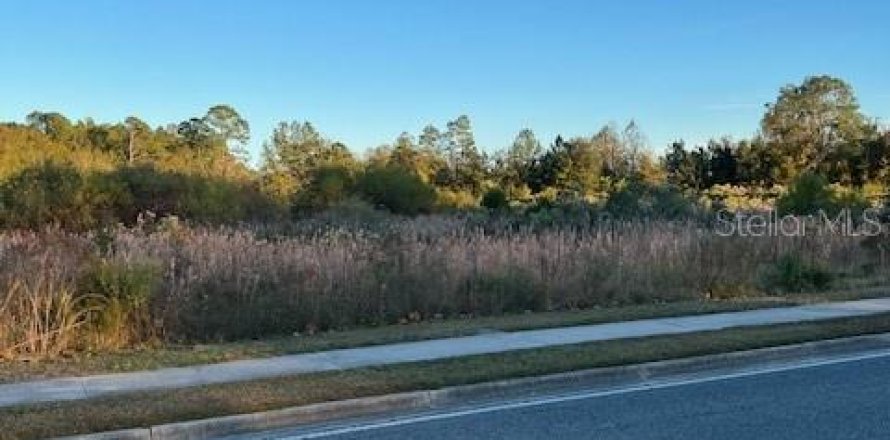 Land in Lake City, Florida № 1561715
