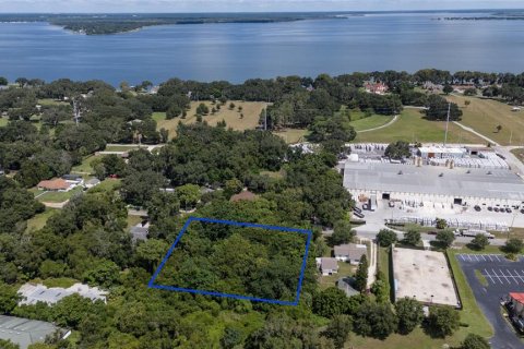 Land in Leesburg, Florida № 1346112 - photo 13