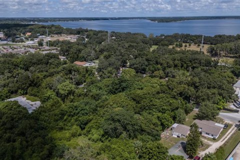 Land in Leesburg, Florida № 1346112 - photo 6