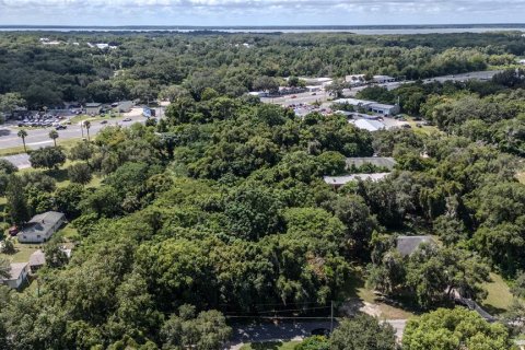 Land in Leesburg, Florida № 1346112 - photo 3