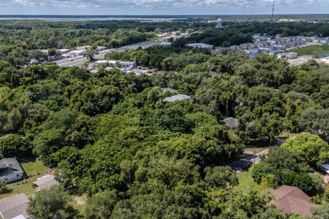 Land in Leesburg, Florida № 1346112 - photo 4