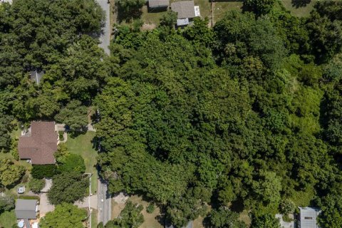 Land in Leesburg, Florida № 1346112 - photo 10