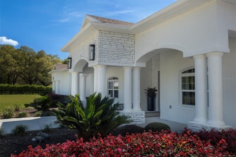 House in Ocala, Florida 6 bedrooms, 568.19 sq.m. № 2152181 - photo 9