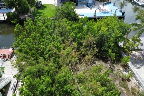 Terrain à Key Largo, Floride № 2050997