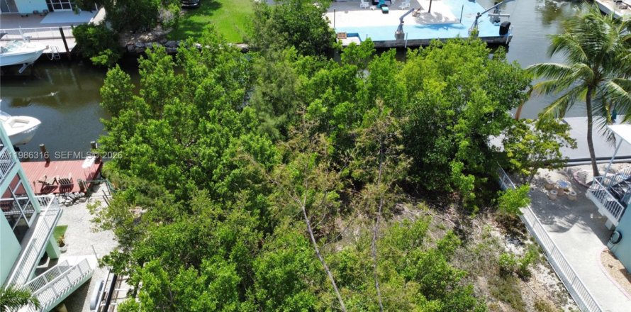 Terrain à Key Largo, Floride № 2050997
