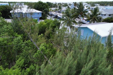 Terrain à vendre à Key Largo, Floride № 2050997 - photo 4