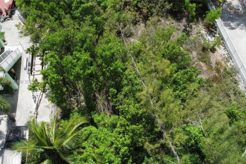 Terrain à vendre à Key Largo, Floride № 2050997 - photo 2