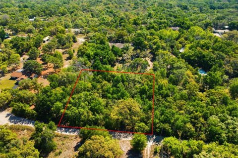 Terrain à Hudson, Floride № 2092857