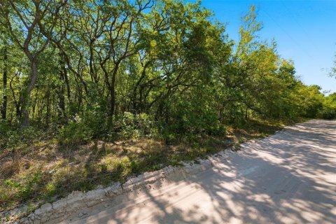 Terrain à vendre à Hudson, Floride № 2092857 - photo 6
