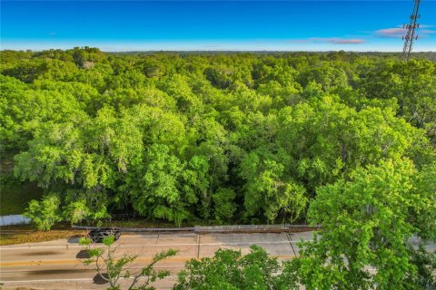 Terreno en venta en Lakeland, Florida № 2098933 - foto 21