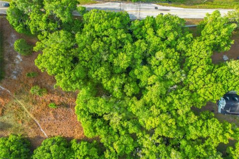 Terreno en venta en Lakeland, Florida № 2098933 - foto 27