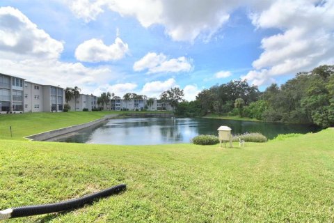 Condo in Dunedin, Florida, 2 bedrooms  № 2375550 - photo 27