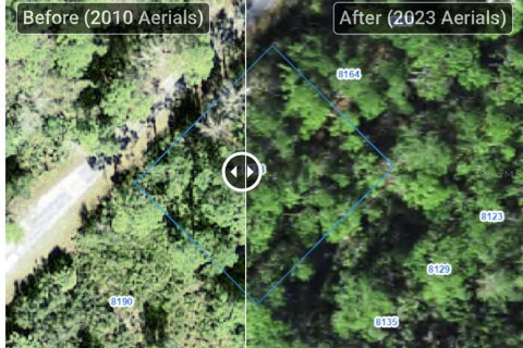 Land in Homosassa, Florida № 2159666