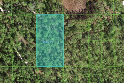 Terreno en Lake Wales, Florida № 2164020