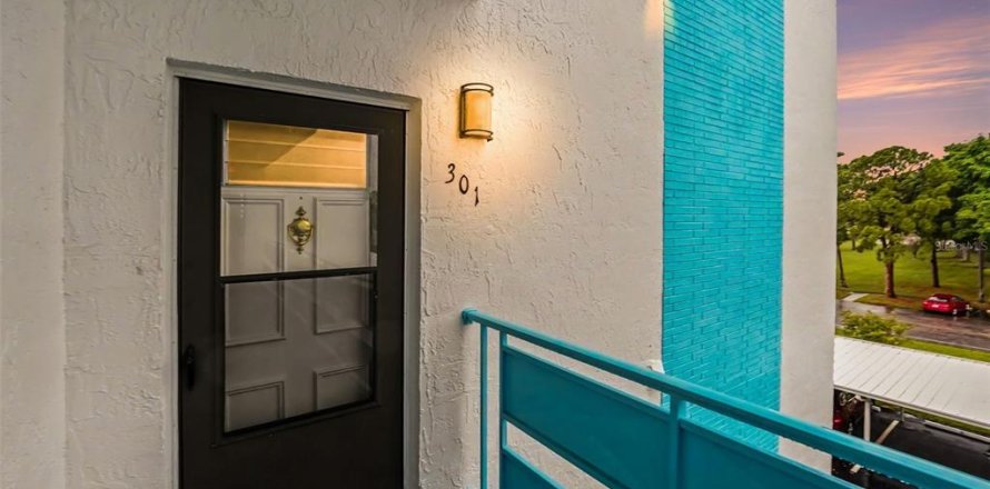 Condo in Saint Petersburg, Florida, 2 bedrooms  № 2234678