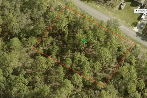 Land in Citrus Springs, Florida № 1217922 - photo 2