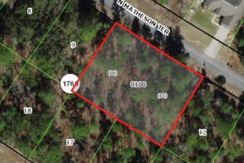 Land in Citrus Springs, Florida № 1217922 - photo 1