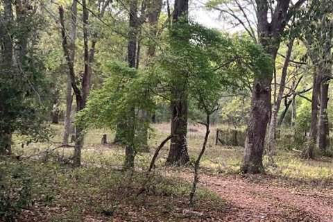 Terreno en venta en Bronson, Florida № 2213232 - foto 7