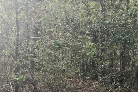 Terreno en Bronson, Florida № 2213232