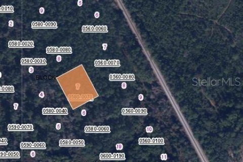 Land in Satsuma, Florida № 2162696 - photo 2