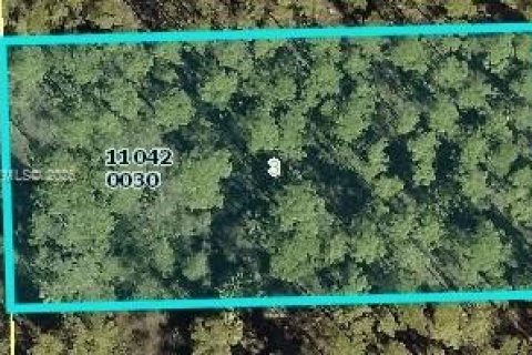 Land in Lehigh Acres, Florida № 2158581