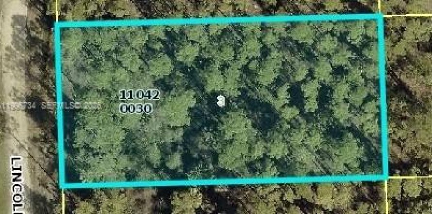 Terreno en Lehigh Acres, Florida № 2158581