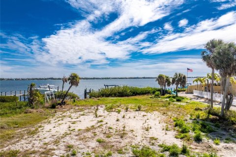 Land in Englewood, Florida № 2103662 - photo 2