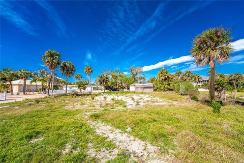 Land in Englewood, Florida № 2103662 - photo 20