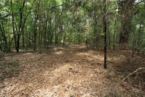Terreno en venta en Morriston, Florida № 2166966 - foto 13